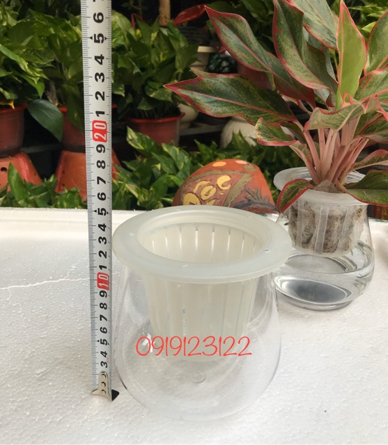 10 bộ Bình nhựa trồng cây thuỷ sinh