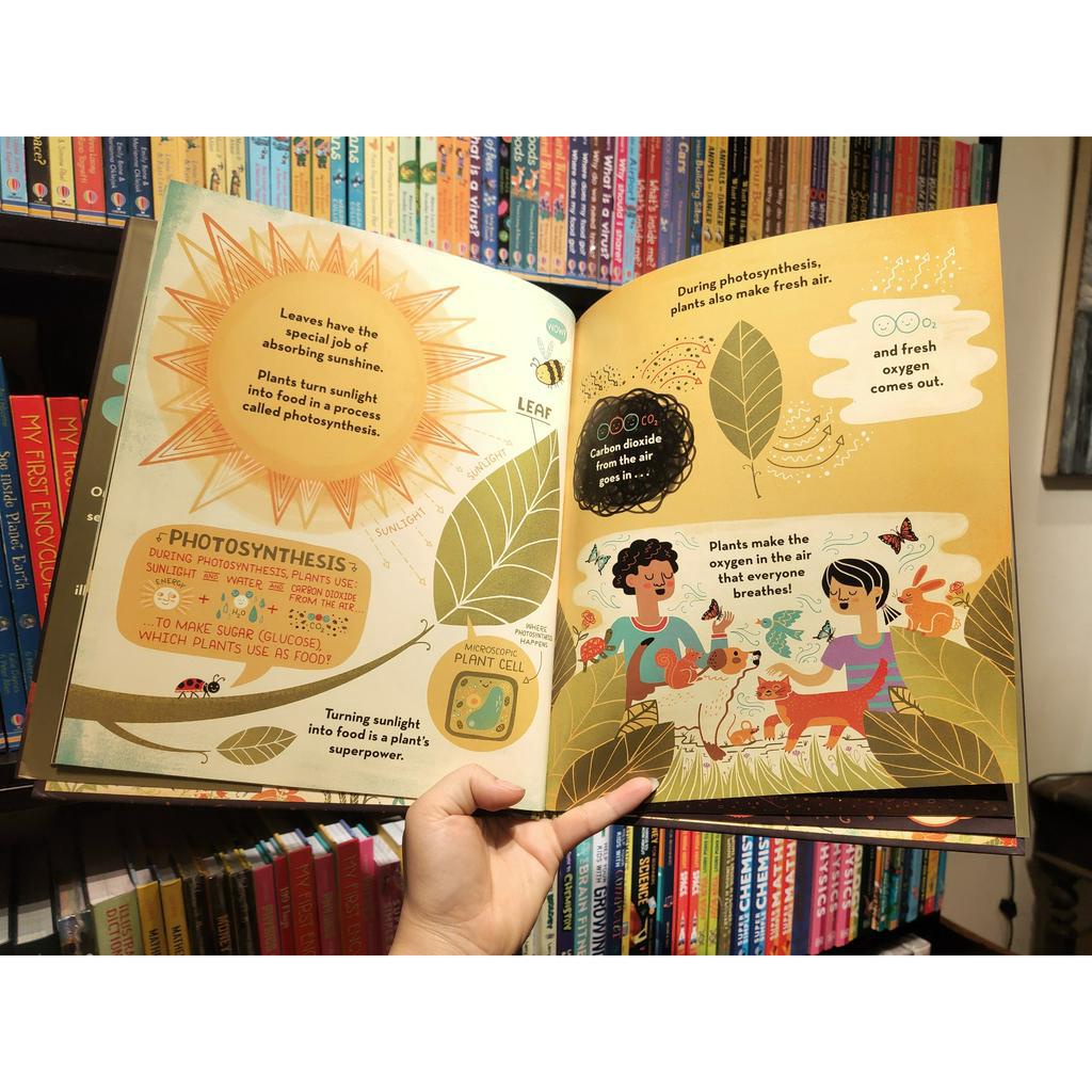 Sách - What's Inside A Flower?