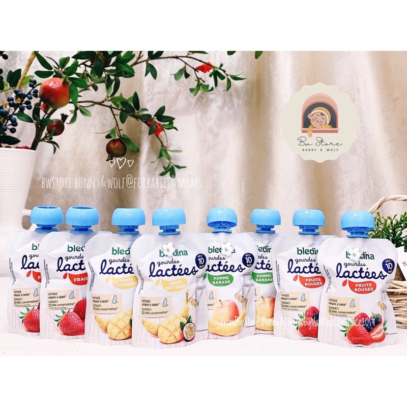 Sữa Chua Hoa Quả Bledina Gourdes Lactees Pháp cho bé từ 10m+ - Túi 85g