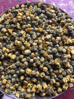 Sỉ combo 1 kg cúc kim cương