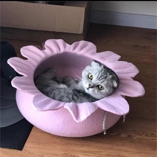 Ổ cho mèo hình bông hoa - Nhà cho thú cưng
