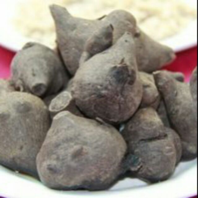 Sỉ giá giá gốc củ ấu tẩu khô 500g - 1kg.