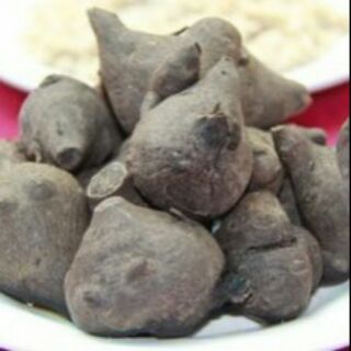 Sỉ giá giá gốc củ ấu tẩu khô 500g - 1kg.