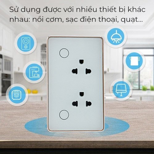 Ổ cắm thông minh đôi Tuya âm tường, điều khiển với giọng nói loa Google Assistant