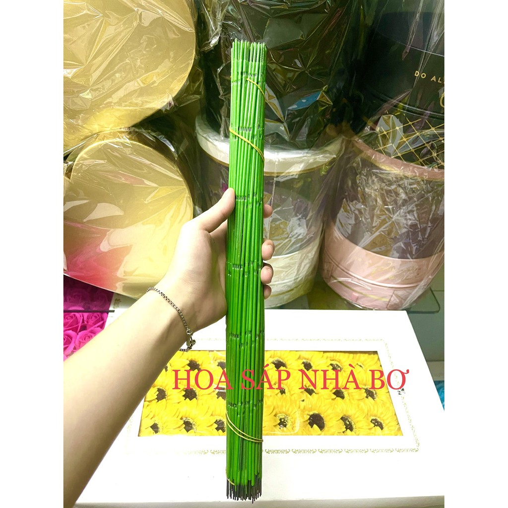 20 50 100 1kg kẽm cành trơn gai bọc nhựa 30 40cm rẻ bền cứng dẻo cắm hoa làm hoa handmade - Hoa Sáp Nhà Bơ