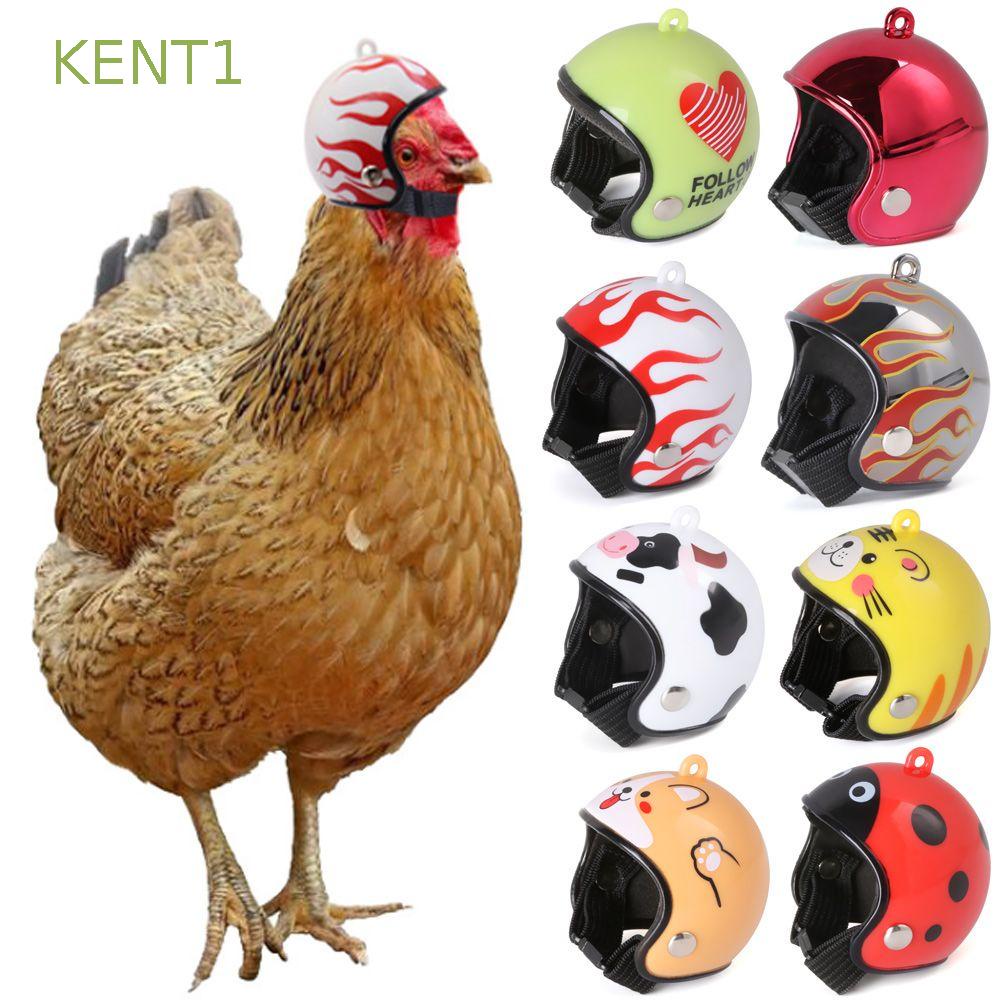Mũ Bảo Hiểm Che Mưa Nắng Cho Gà Con KENT1