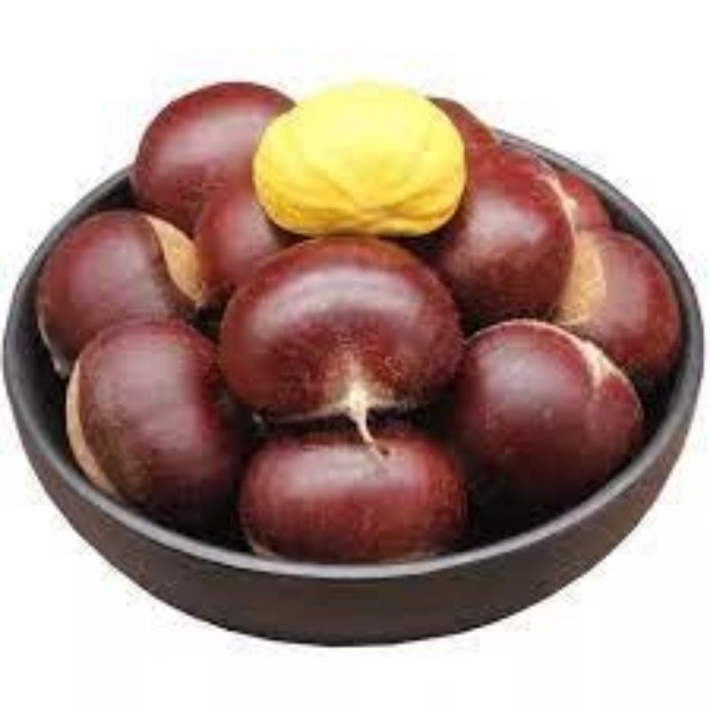 Hạt dẻ tươi ( ngọt bùi cơm vàng) 1kg