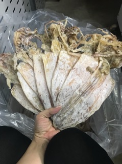 COMBO 10 CON LOẠI 1 (450gr)