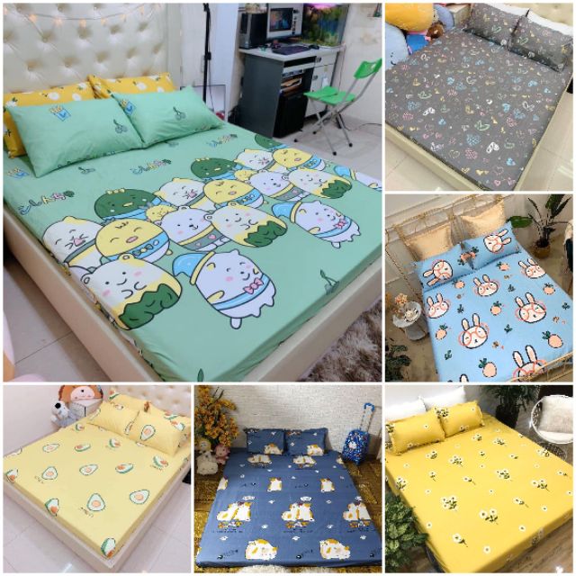 bộ drap ga gối cotton poly 1m6/1m8  ( chat chọn  mẫu) | BigBuy360 - bigbuy360.vn