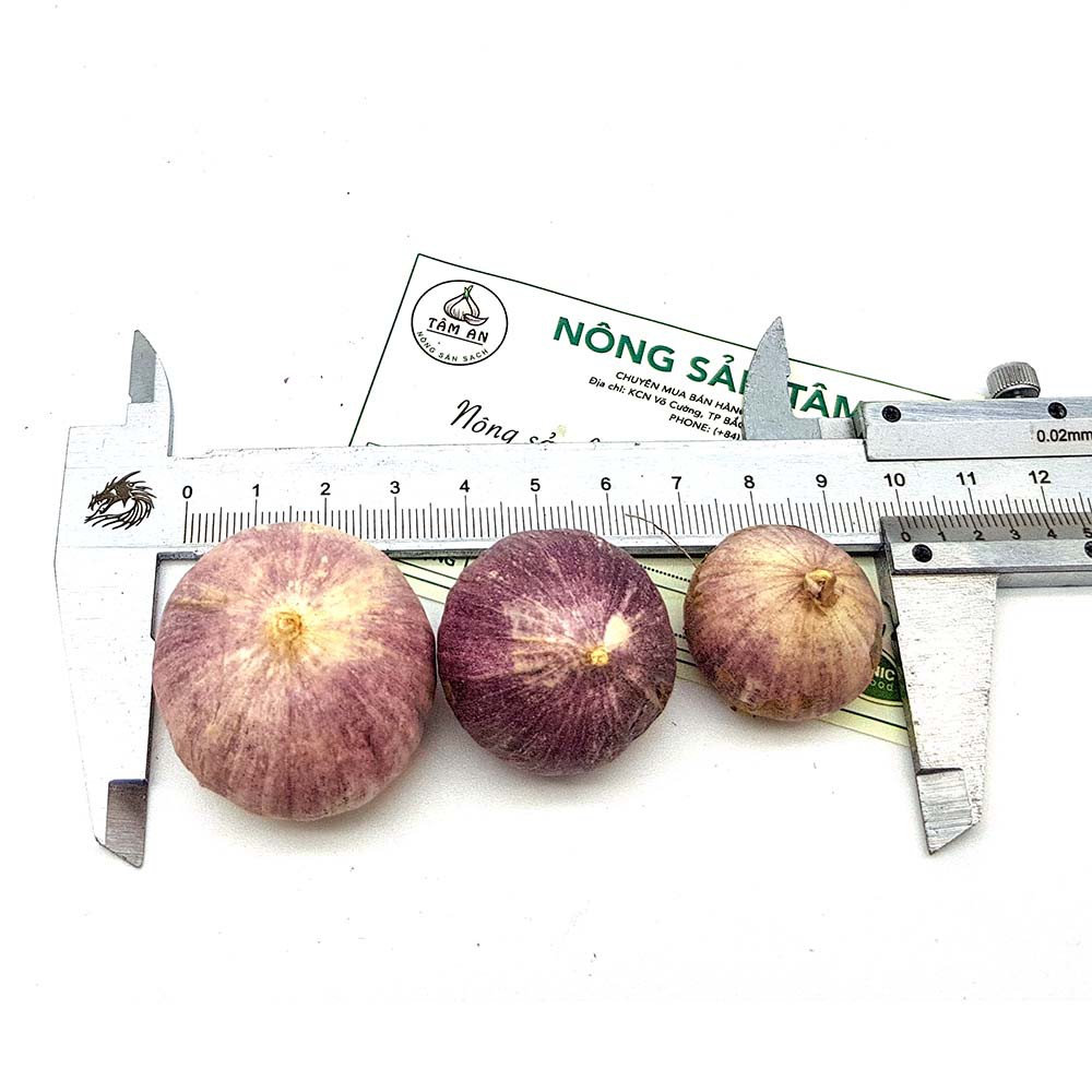 1kg tỏi cô đơn loại đại. Tặng 1 hộp tỏi đen cao cấp khi mua 5kg | BigBuy360 - bigbuy360.vn