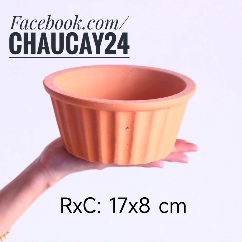 Chậu trồng sen đá đất nung sọc cho xương rồng, cây cảnh mini, cây cảnh để bàn