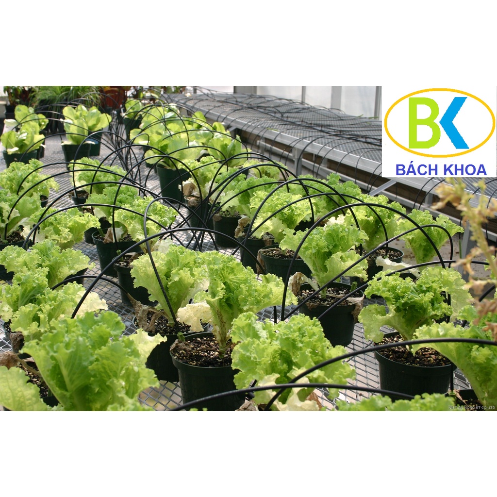 Thanh lý cuộn 200m Dây PE 5x 3mm ( màu đen)dùng cắm que nhỏ giọt