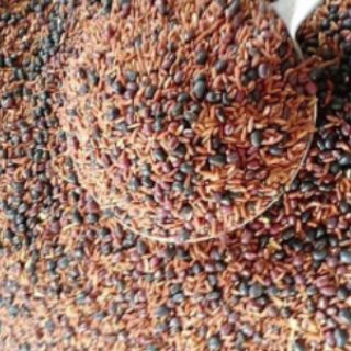 Trà gạo lứt đỗ đen