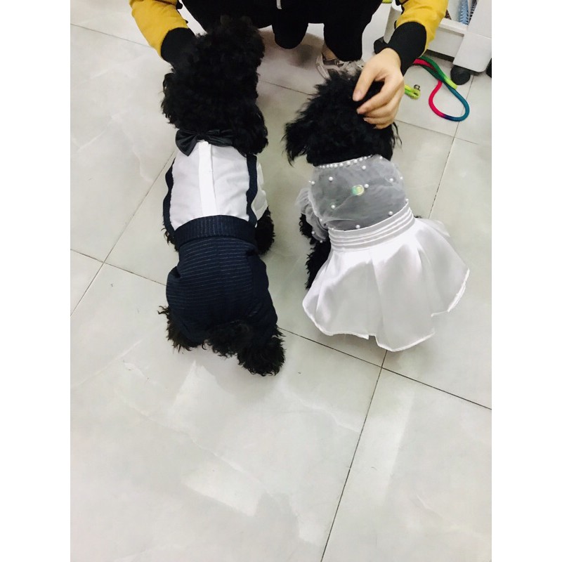 ÁO CHÓ MÈO - BỘ SƠ MI TRẮNG QUẦN TÂY/ VEST - CHỌN MẪU