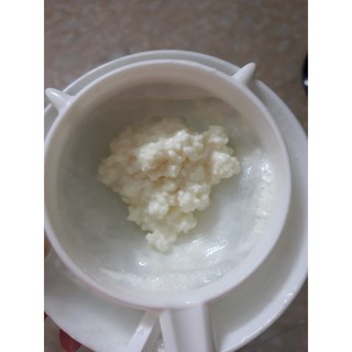 Combo rây nhựa và nấm kefir