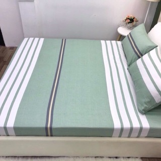 Set Ga-Vỏ gối cotton 100%