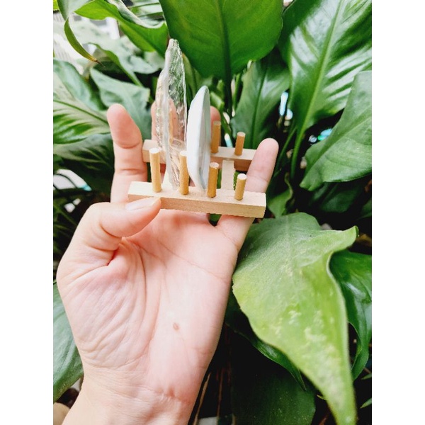 Giá để Dĩa loại lớn cho mô hình nấu ăn tí hon dollhouse , miniature