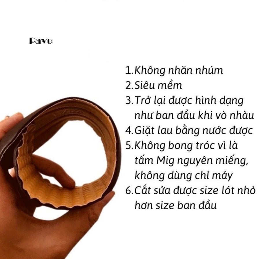 Lót Giày Thông Thoáng Khử Mùi (Sử Dụng Cho Mọi Loại Giày) PKHKD19