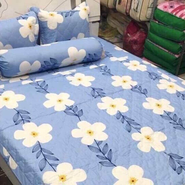 Bộ ga gối cotton poly