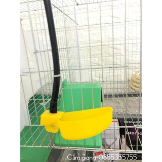 10 bộ Máng nước tự động Bồ Câu ,Chim Cút hình bán nguyệt.