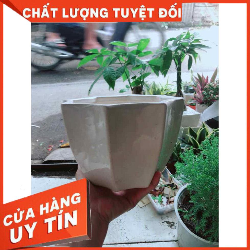 Chậu Trồng Cây Nhiều Người Mua