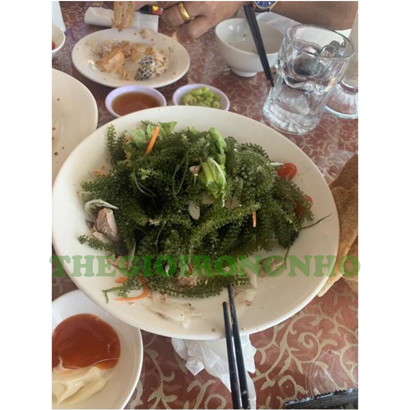 Rong nho Tách nước Sea Việt gói 100g | BigBuy360 - bigbuy360.vn