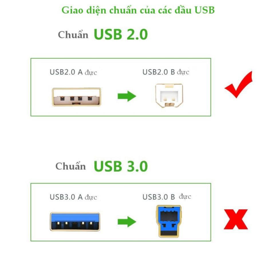 Dây máy in USB 2.0 chuẩn A đực sang chuẩn B đực độ dài từ 1-5m UGREEN US135