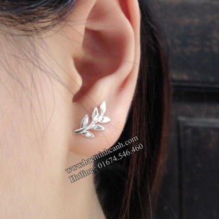 Bông tai chiếc lá bạc đẹp 925 giá rẻ cho khách tin tưởng shop! 