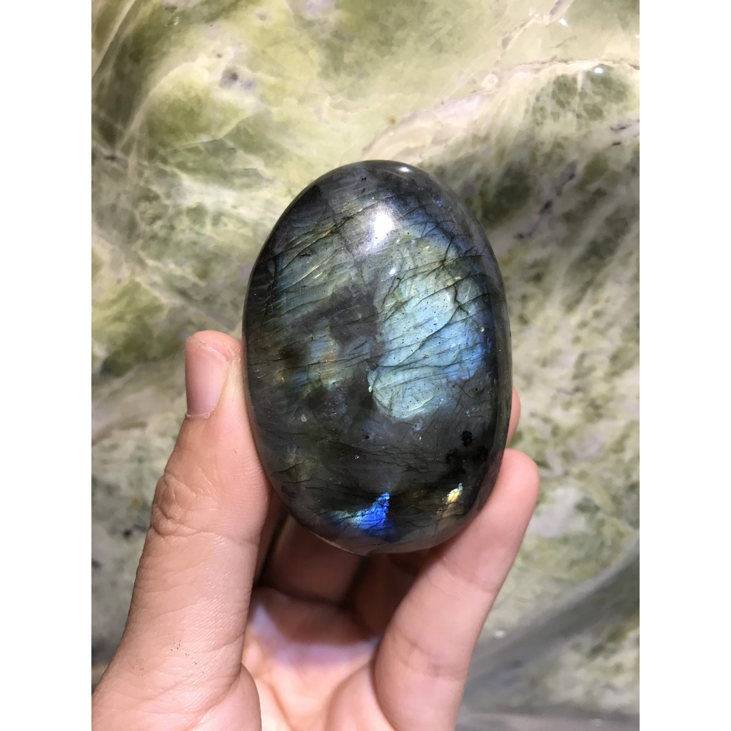 Đá xà cư tư nhiên, Palm Xa cư, kích thước trung bình 5 x 3,5 cm | BigBuy360 - bigbuy360.vn