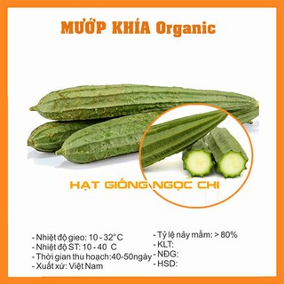 Hạt Giống Mướp Khía Organic (Mướp Tàu) Cực Thơm, Giòn - 10H