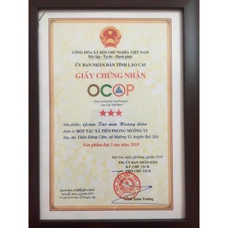 giấm táo mèo 500ml