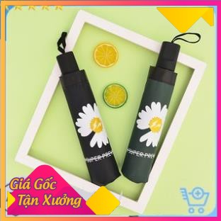 Ô Dù Chống Mưa Nắng Hoa Cúc Chống Tia UV Bảo Vệ Da, Dù Cúc Họa Mi - Hàng Mới Về Cực Đẹp - BX