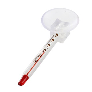 Nhiệt kế mini cho hồ cá cảnh