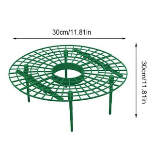Giá đỡ dâu tây