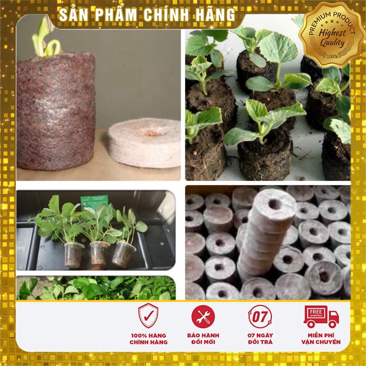 Hạt giống hoa hướng dương viên nén xơ dừa và hạt giống rau các loại