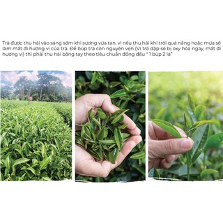 Trà Lài Cầu Đất - Túi 150Gr DalatFarm (Trà nhài - Jasmine Tea)