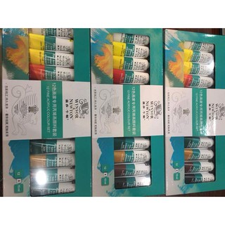 Sét Bột Vẽ Cọ Bản Newton 12 Màu