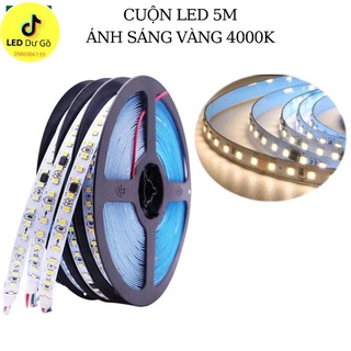 Cuộn LED 24V hiệu ứng đuổi