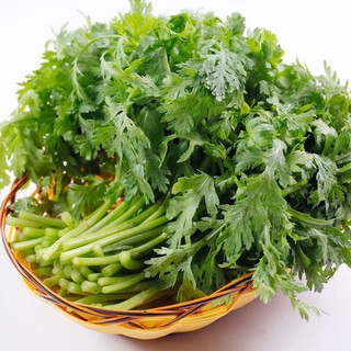 Hạt Giống Tần Ô Trang Nông 100g/gói - Sinh Trưởng Mạnh, Kháng Bệnh Virus Rất Tốt, Trồng Quanh Năm, Giúp Giảm Cân