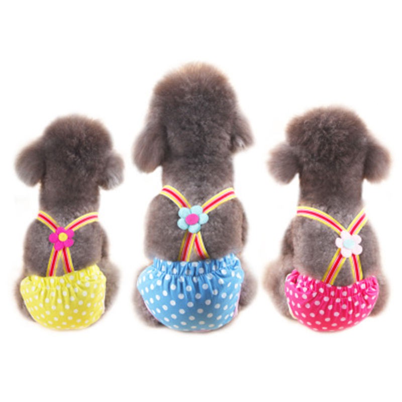 Quần Lót Sinh Lý Cho Thú Cưng