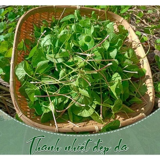 Bột rau má nguyên chất 500gr