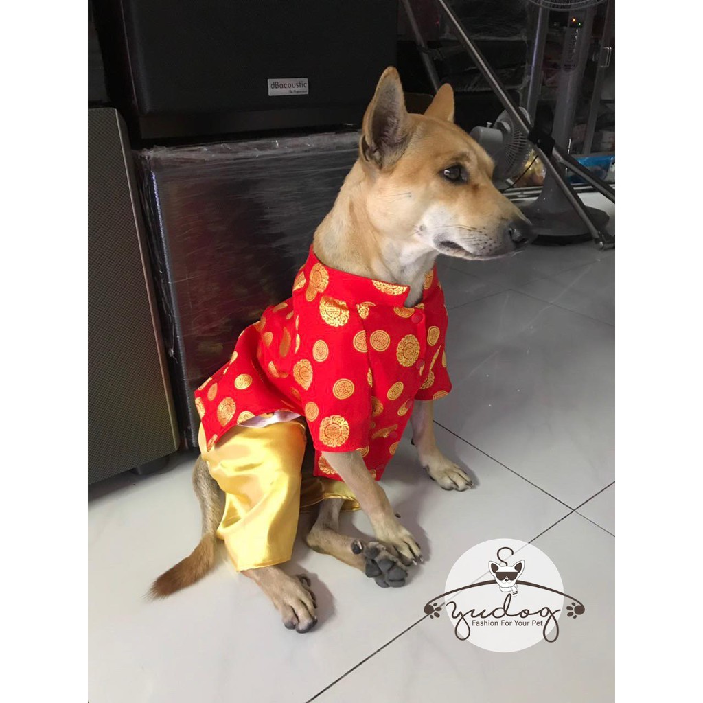 Áo dài truyền thống 4 màu cho thú cưng