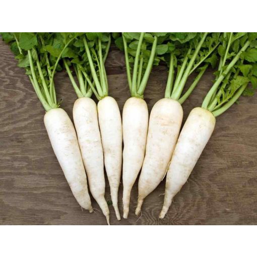 RAU CỦ XANH QUẢ ĐÀ LẠT - Củ cải trắng (1kg) - Xanh và sạch tươi ngon mỗi ngày