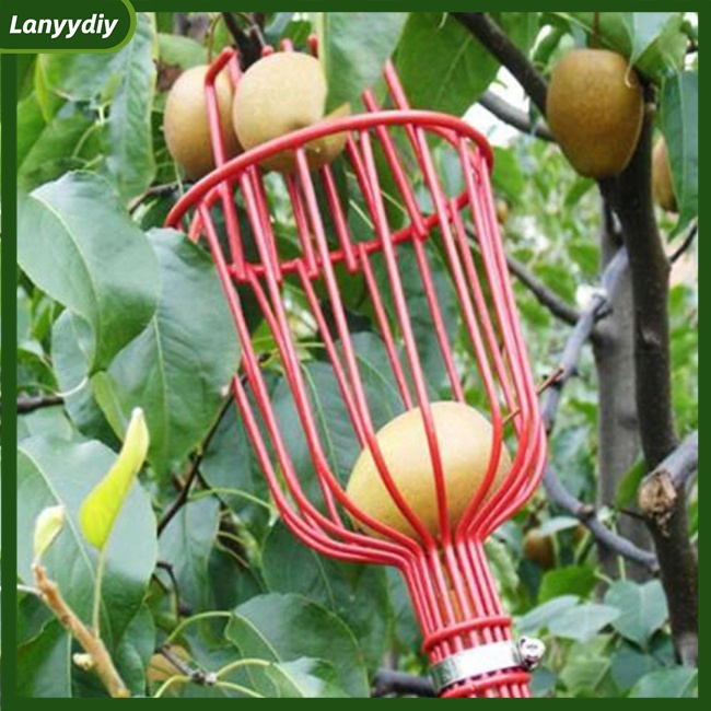 Dụng Cụ Hái Trái Cây Di Động Tiện Dụng Cho Công Viên/ Nông Trại/ Sân Vườn