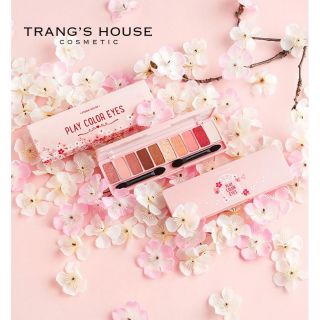 Phấn mắt play color eyes