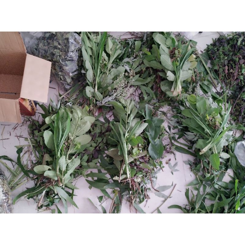 Set lá nấu dầu gội bồ kết
