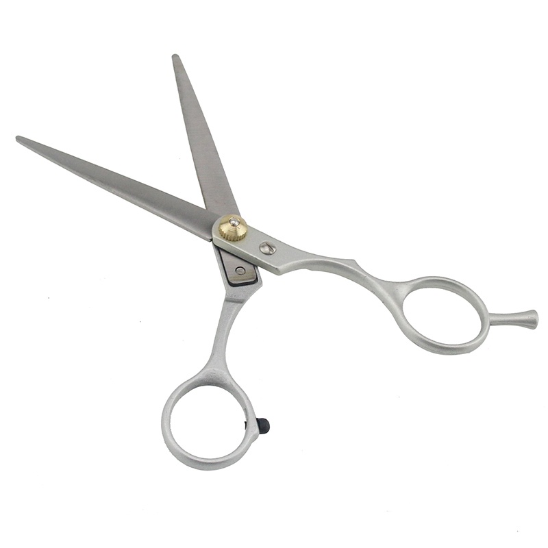 Kéo Cắt Tóc Chuyên Nghiệp Bằng Thép Không Gỉ Cho Salon