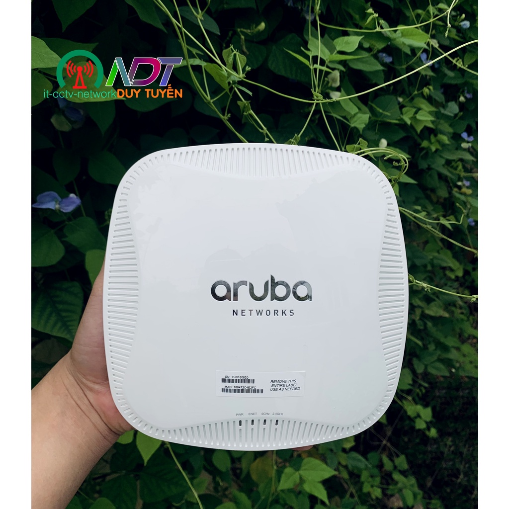 ✅ Aruba 215 - Wifi Chuyên Dụng - Roaming - Mesh   , Chuyên aruba , aerohive , ruckus , ruijie - aruba 215