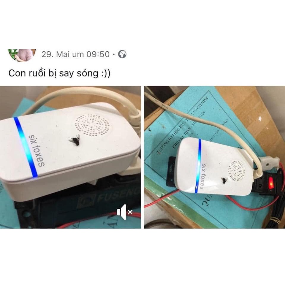 Máy Đuổi Muỗi , Côn Trùng SIX FOXES