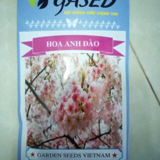 Hạt giống hoa anh đào